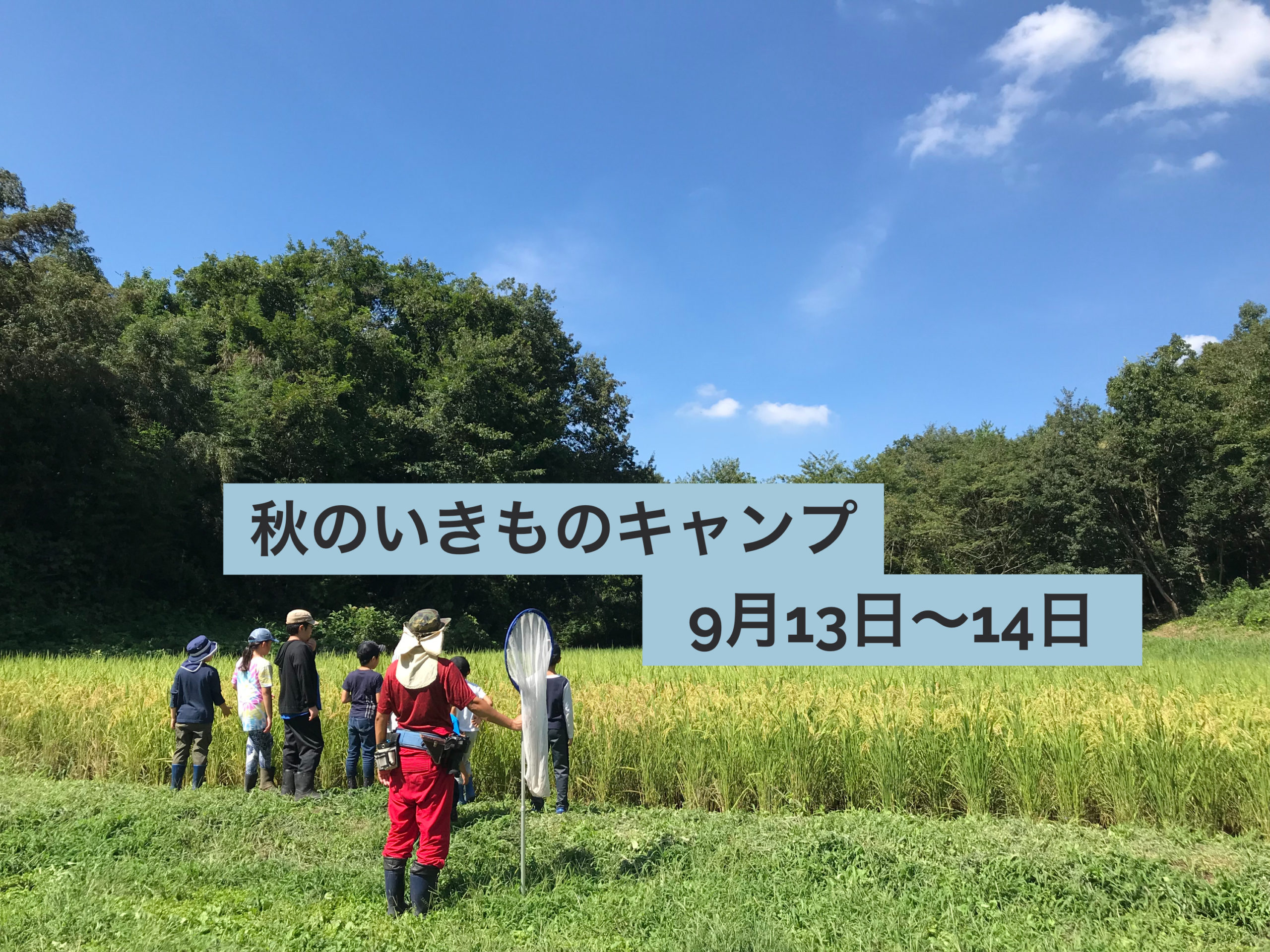 秋のいきものキャンプ